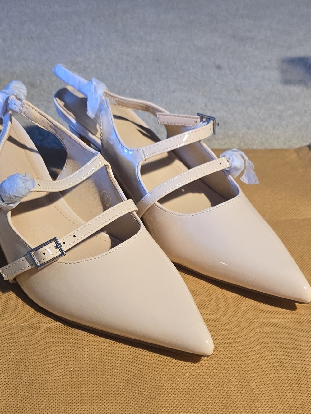 Pointed Toe Strappy Flats in Nude